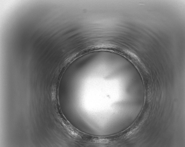 X0000068260833200605051747