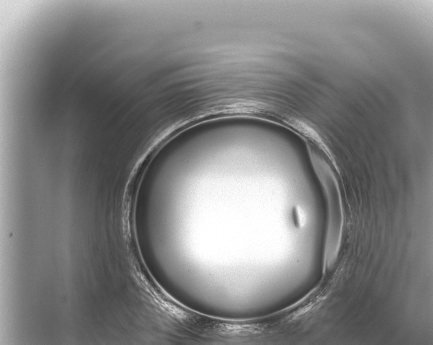 X0000068260835200605051747