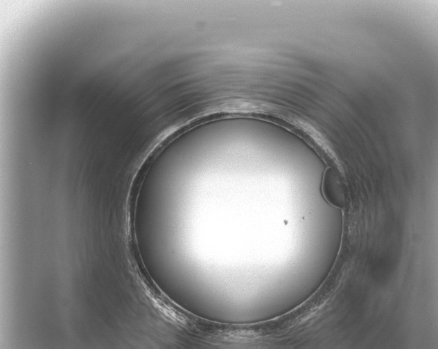 X0000068260837200605051747