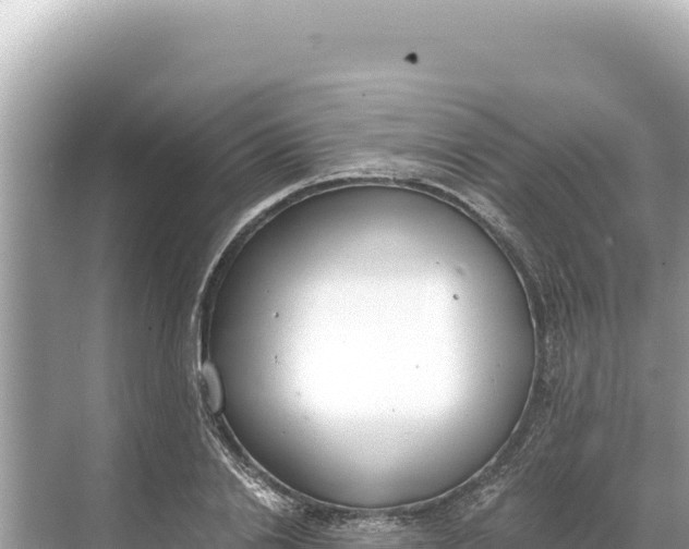 X0000068260838200605051747