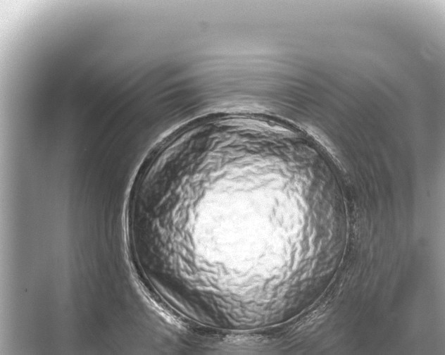 X0000068260840200605051747