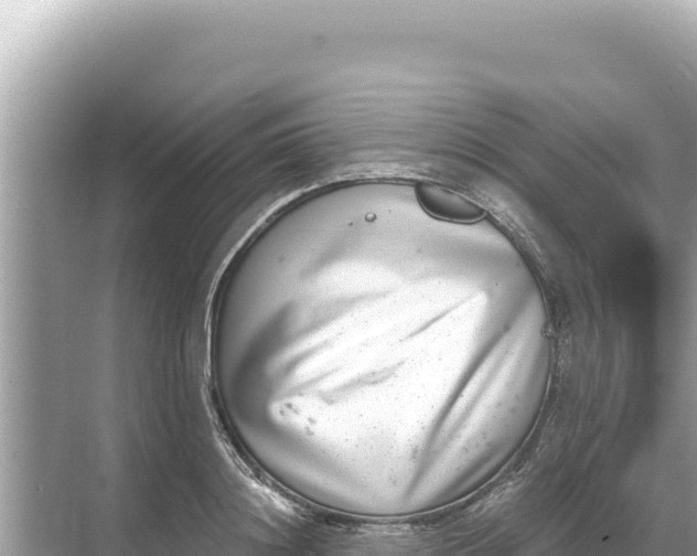 X0000068260844200605051747