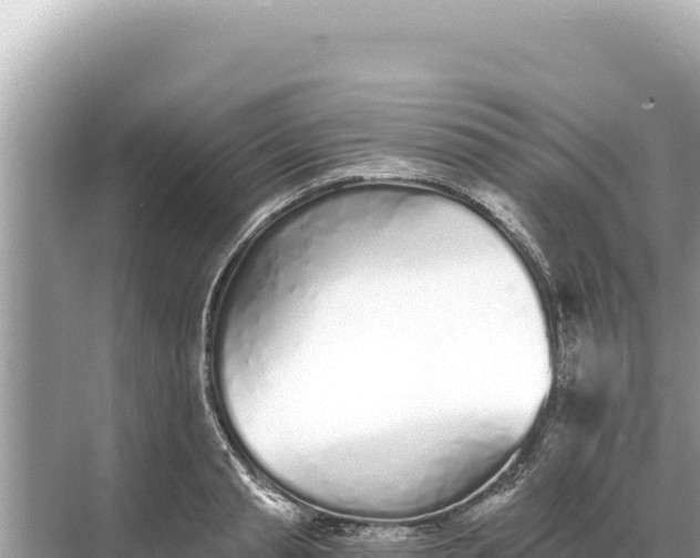 X0000068260845200605051747