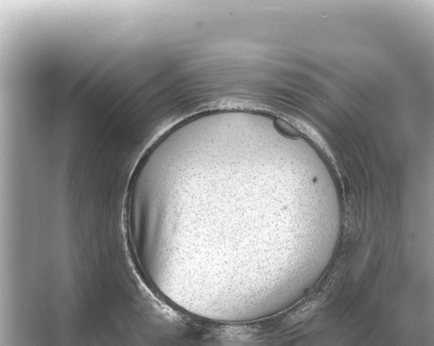 X0000068260847200605051747