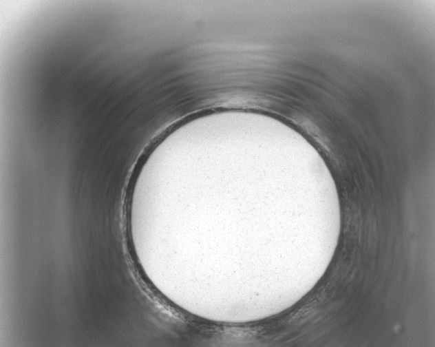 X0000068260848200605051747