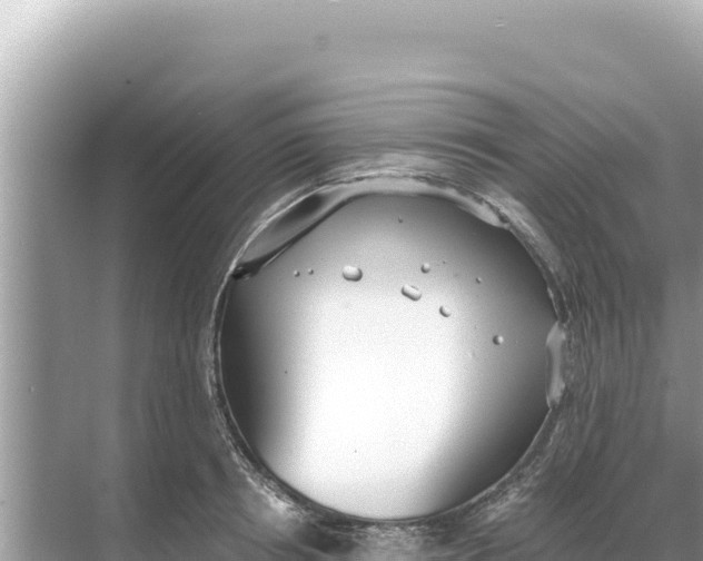 X0000068260850200605051747