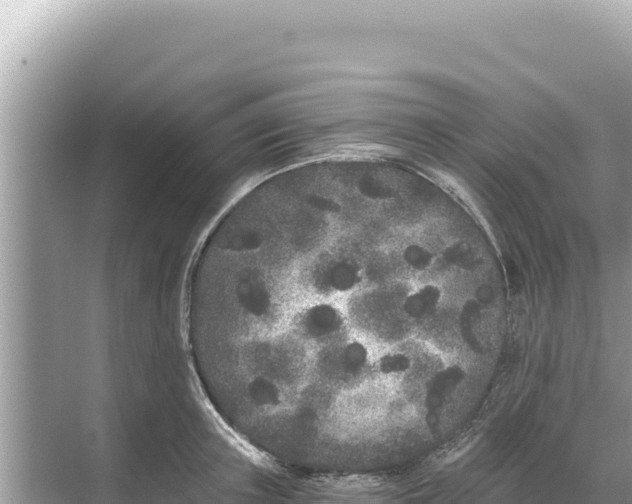 X0000068260851200605051747