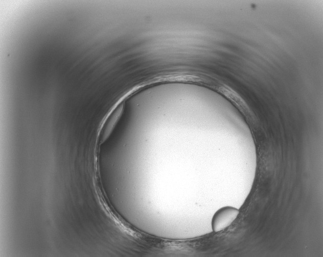 X0000068260852200605051747