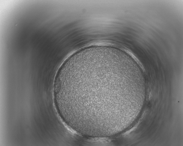 X0000068260853200605051747