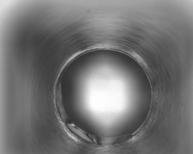 X0000068260854200605051747