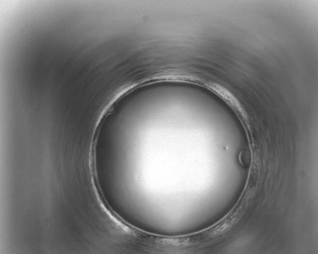 X0000068260855200605051747