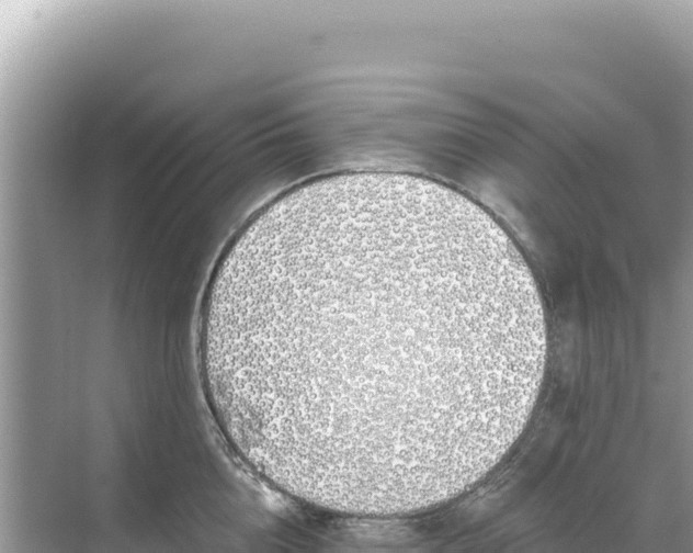 X0000068260856200605051747