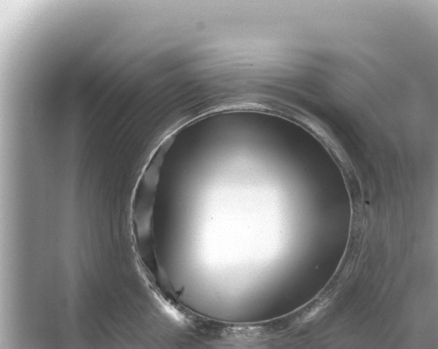 X0000068260858200605051747