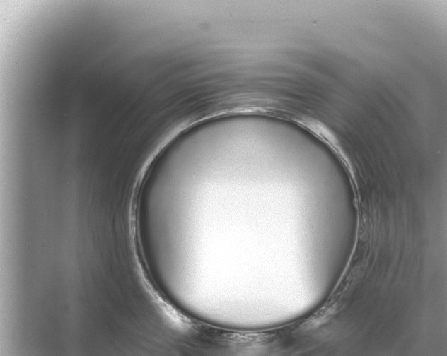 X0000068260859200605051747