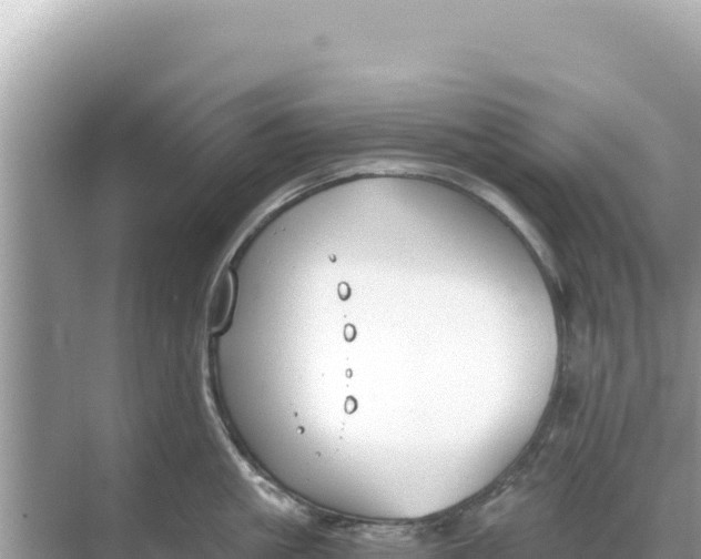 X0000068260861200605051747