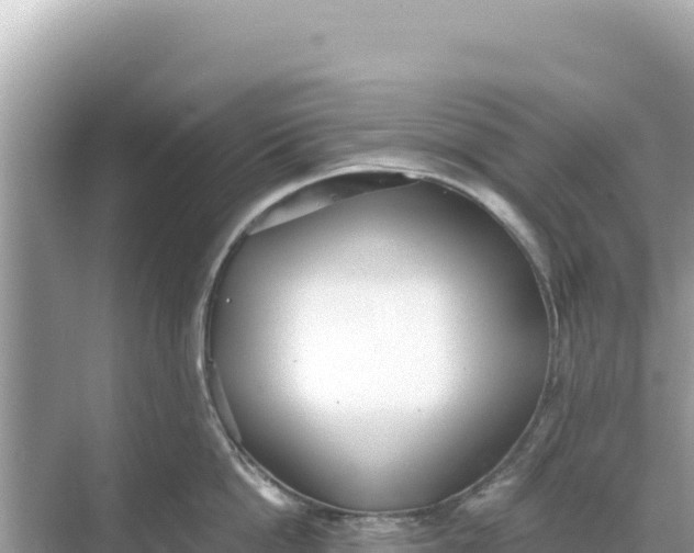 X0000068260862200605051747