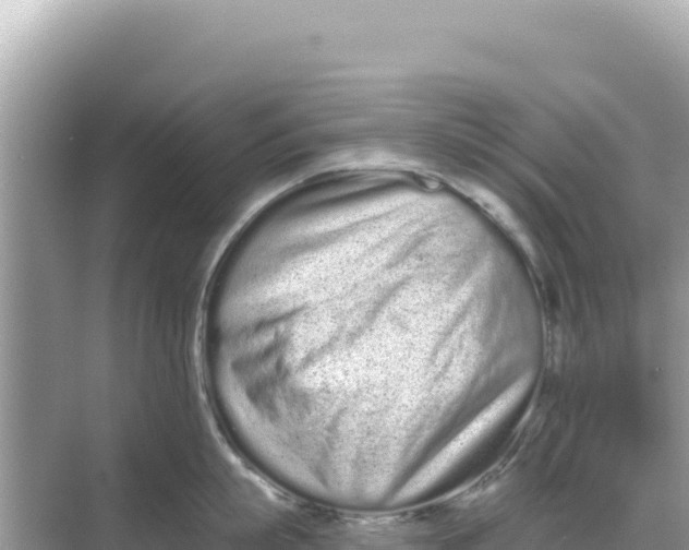 X0000068260863200605051747