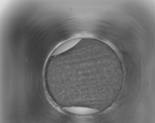 X0000068260864200605051747