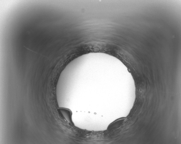 X0000068260865200605051746