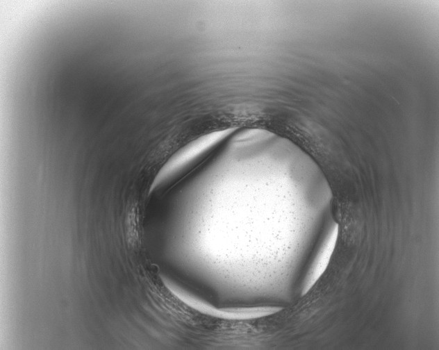 X0000068260866200605051746