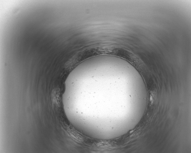 X0000068260867200605051746