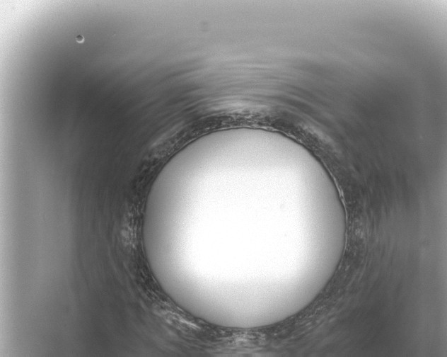 X0000068260869200605051746