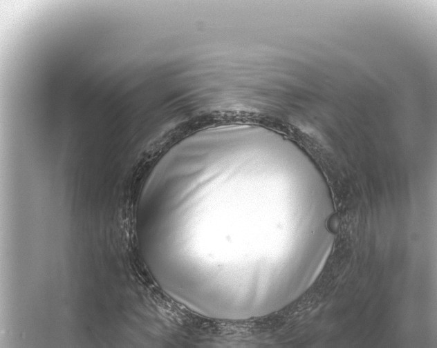 X0000068260870200605051746