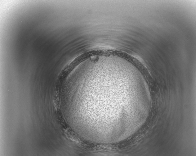 X0000068260871200605051746