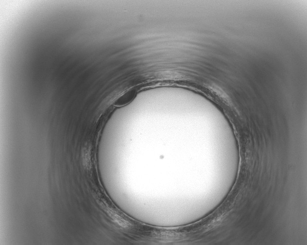 X0000068260873200605051746