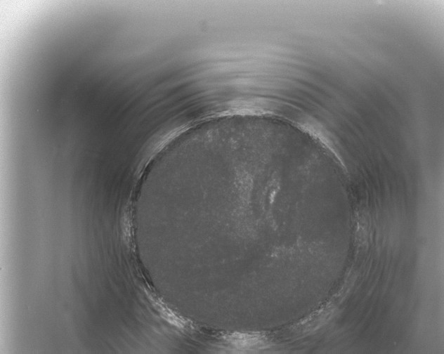 X0000068260874200605051746