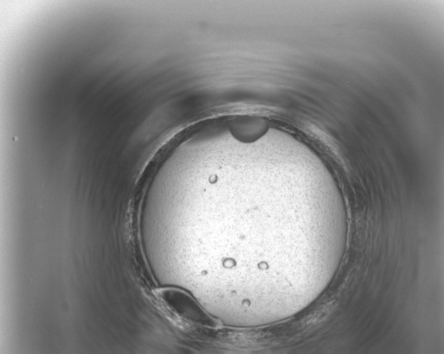 X0000068260875200605051746