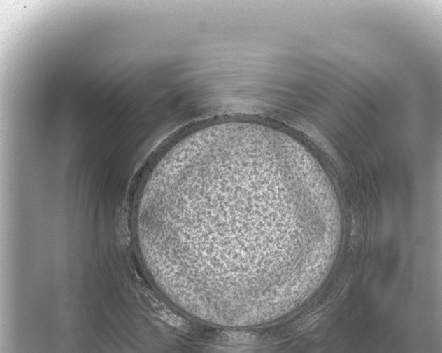 X0000068260878200605051746