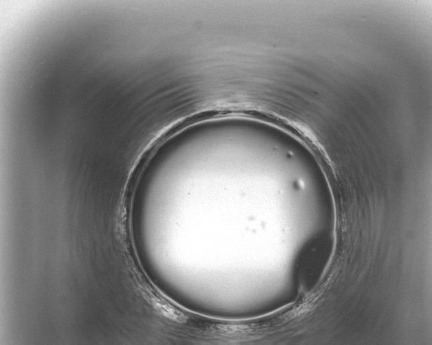 X0000068260879200605051746