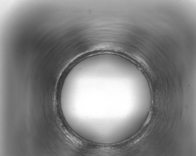 X0000068260880200605051746