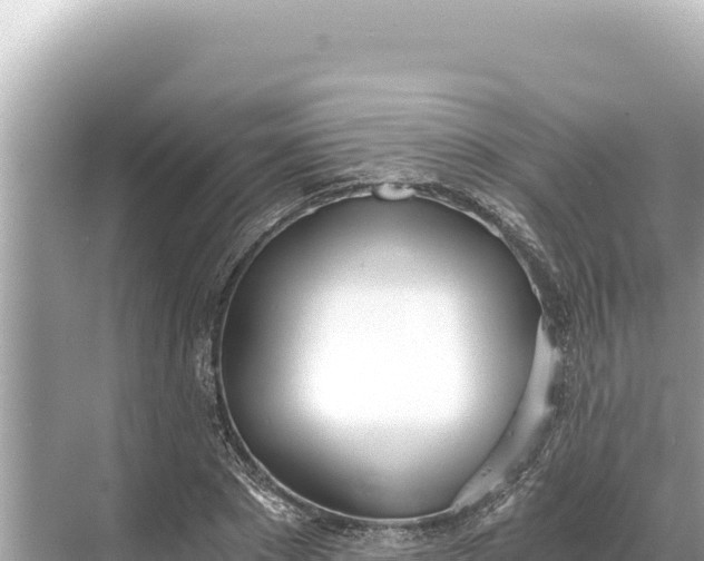 X0000068260881200605051746