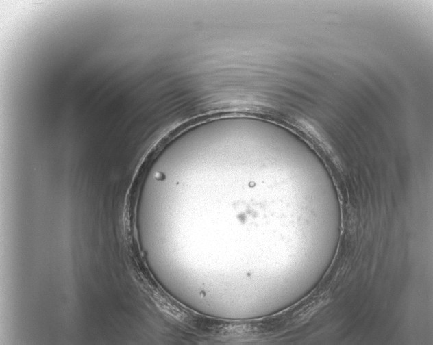 X0000068260883200605051746