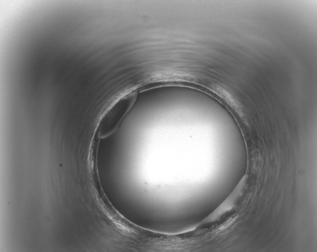 X0000068260885200605051746