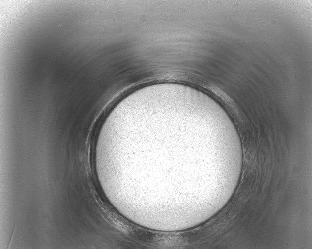 X0000068260886200605051746