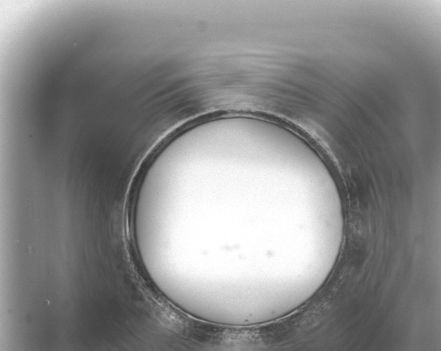 X0000068260887200605051746