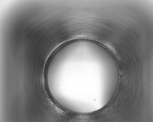 X0000068260888200605051746