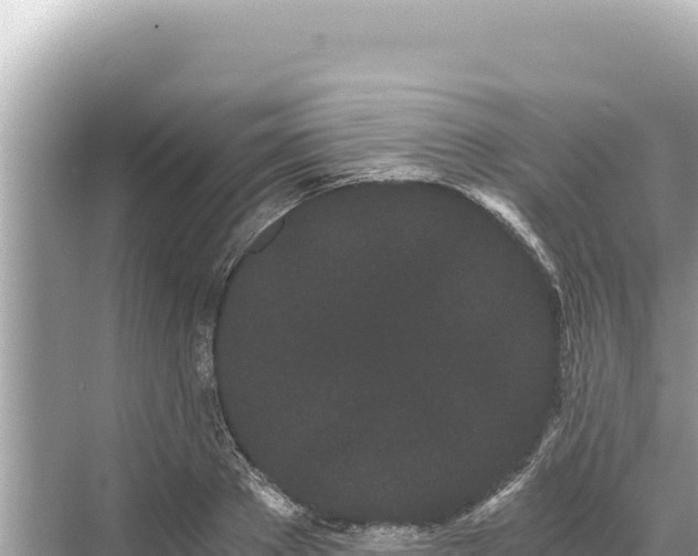 X0000068260889200605051746