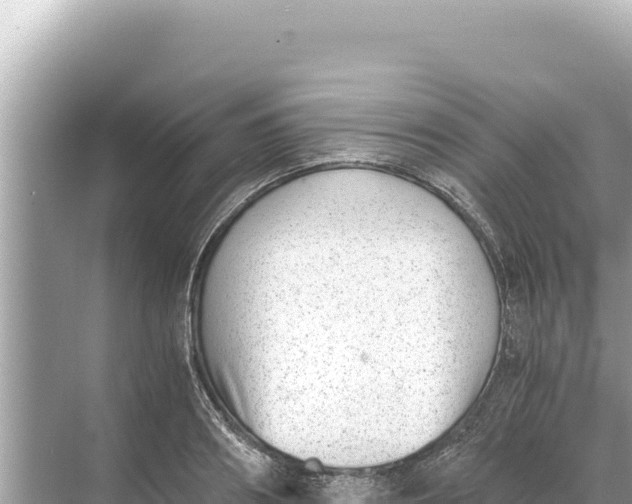 X0000068260890200605051746