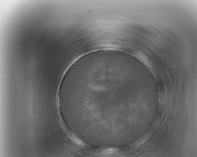 X0000068260891200605051746