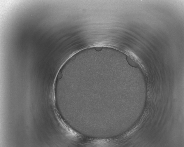 X0000068260892200605051746