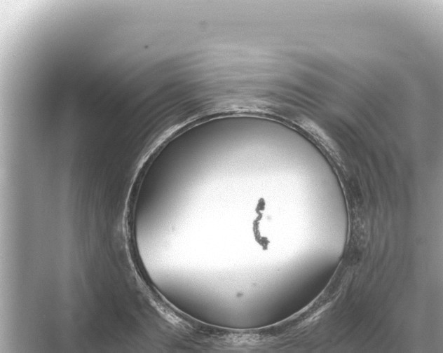 X0000068260893200605051746