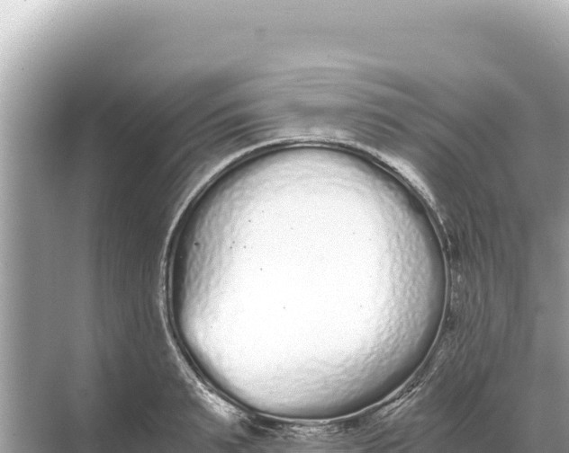 X0000068260895200605051746