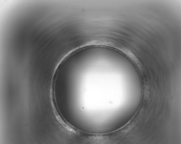 X0000068260896200605051746