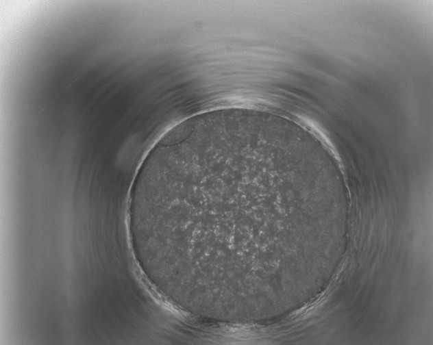 X0000068260899200605051746