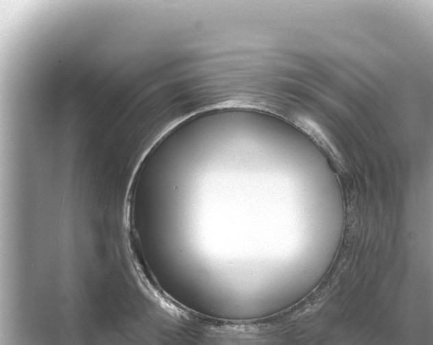 X0000068260900200605051746