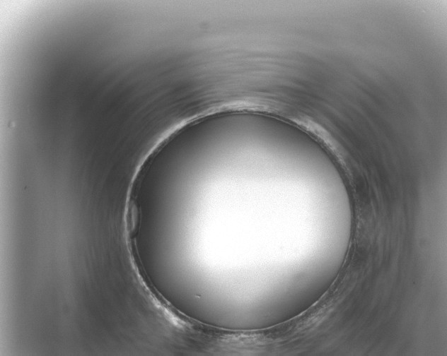 X0000068260902200605051746